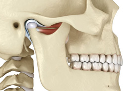 Illustration of temporomandibular joint
